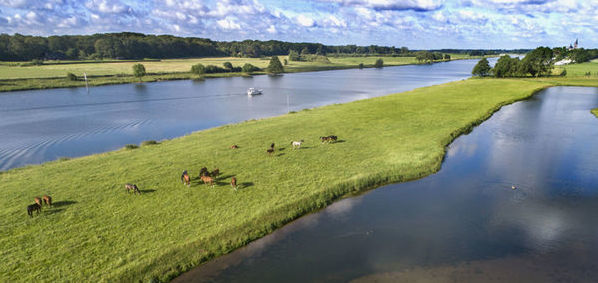 Projecten en werkzaamheden